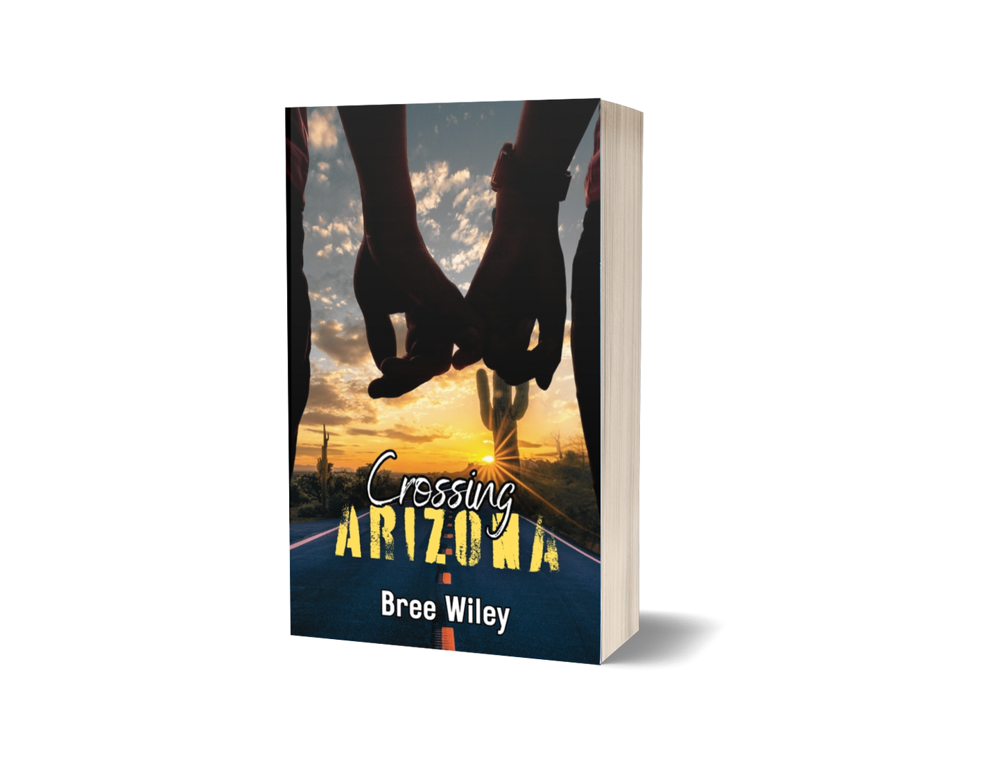 Crossing Arizona Paperback