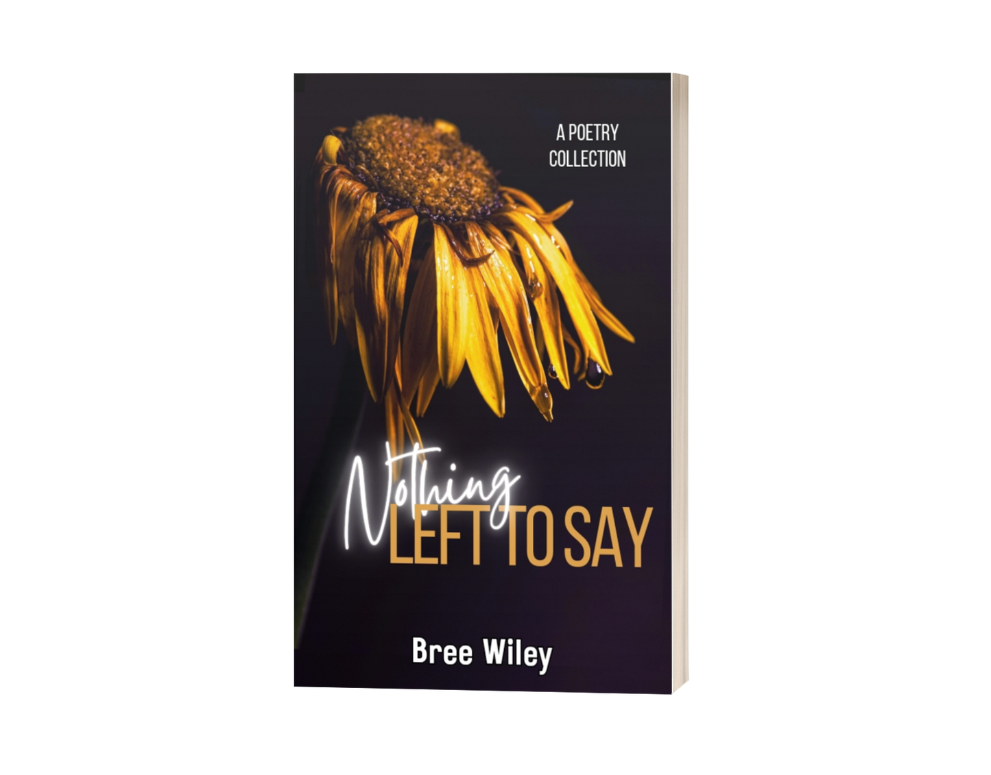 Nothing Left to Say Hardcover