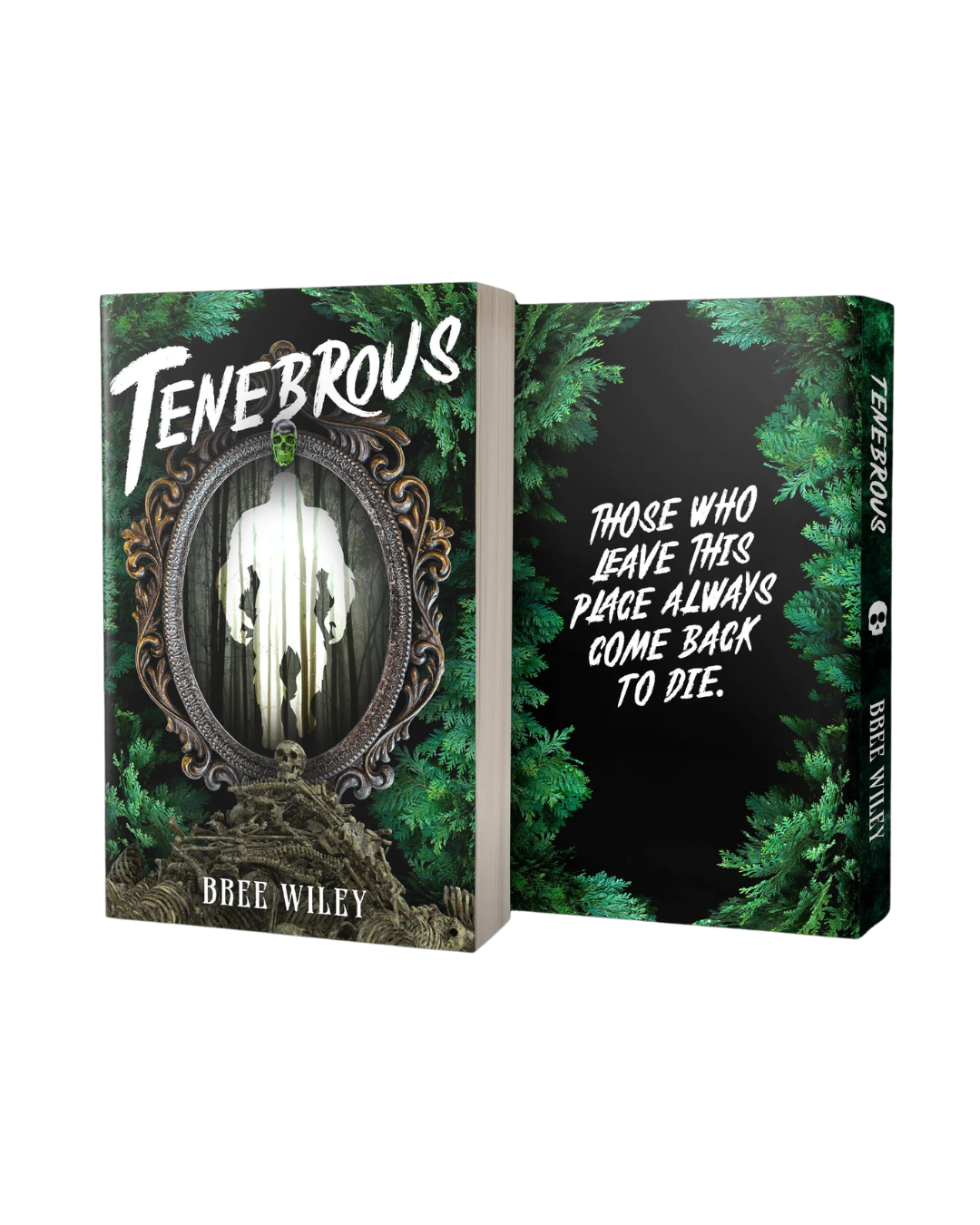 Tenebrous Fairytale Cover Preorder
