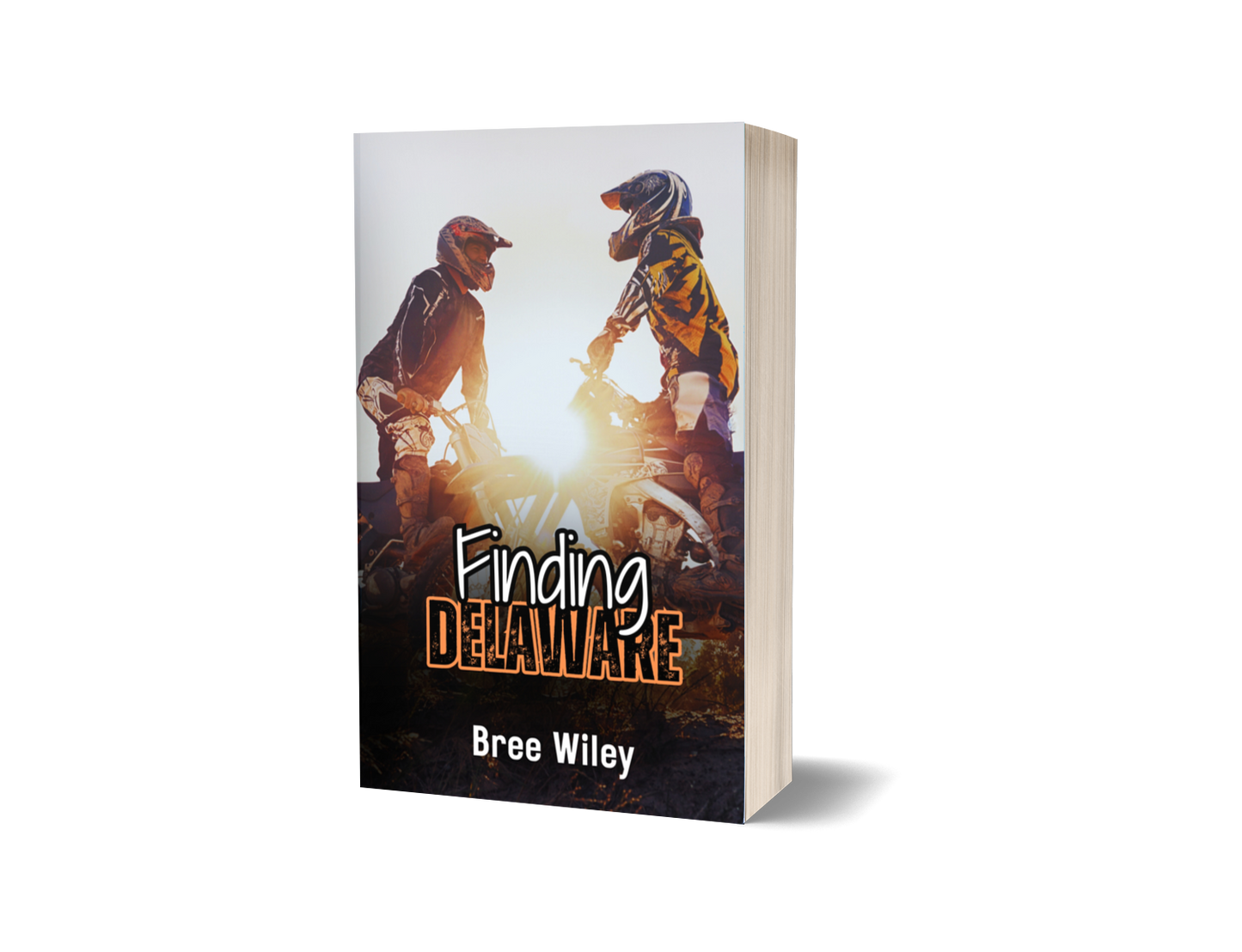 Finding Delaware Paperback