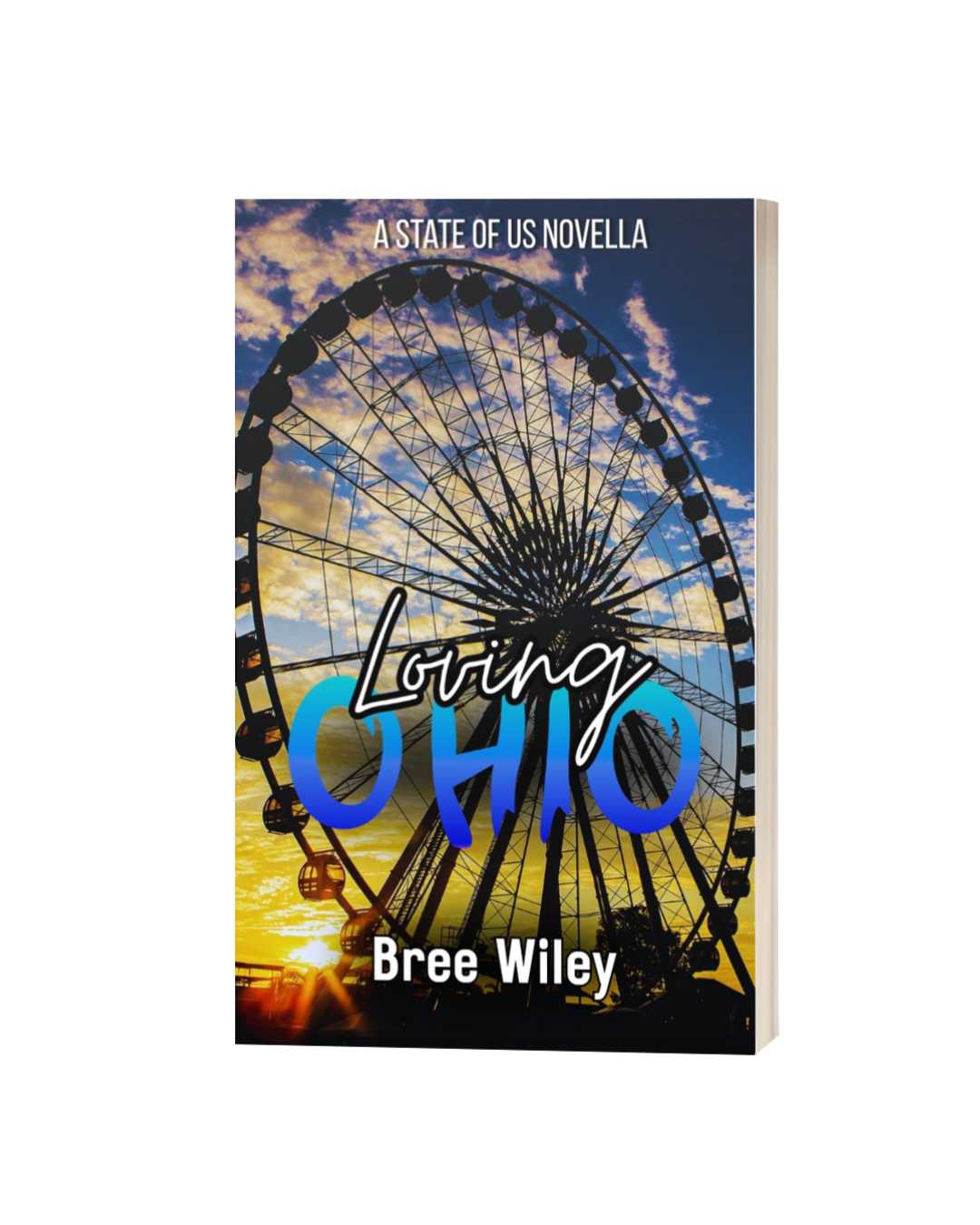 Loving Ohio: A State of Us Novella